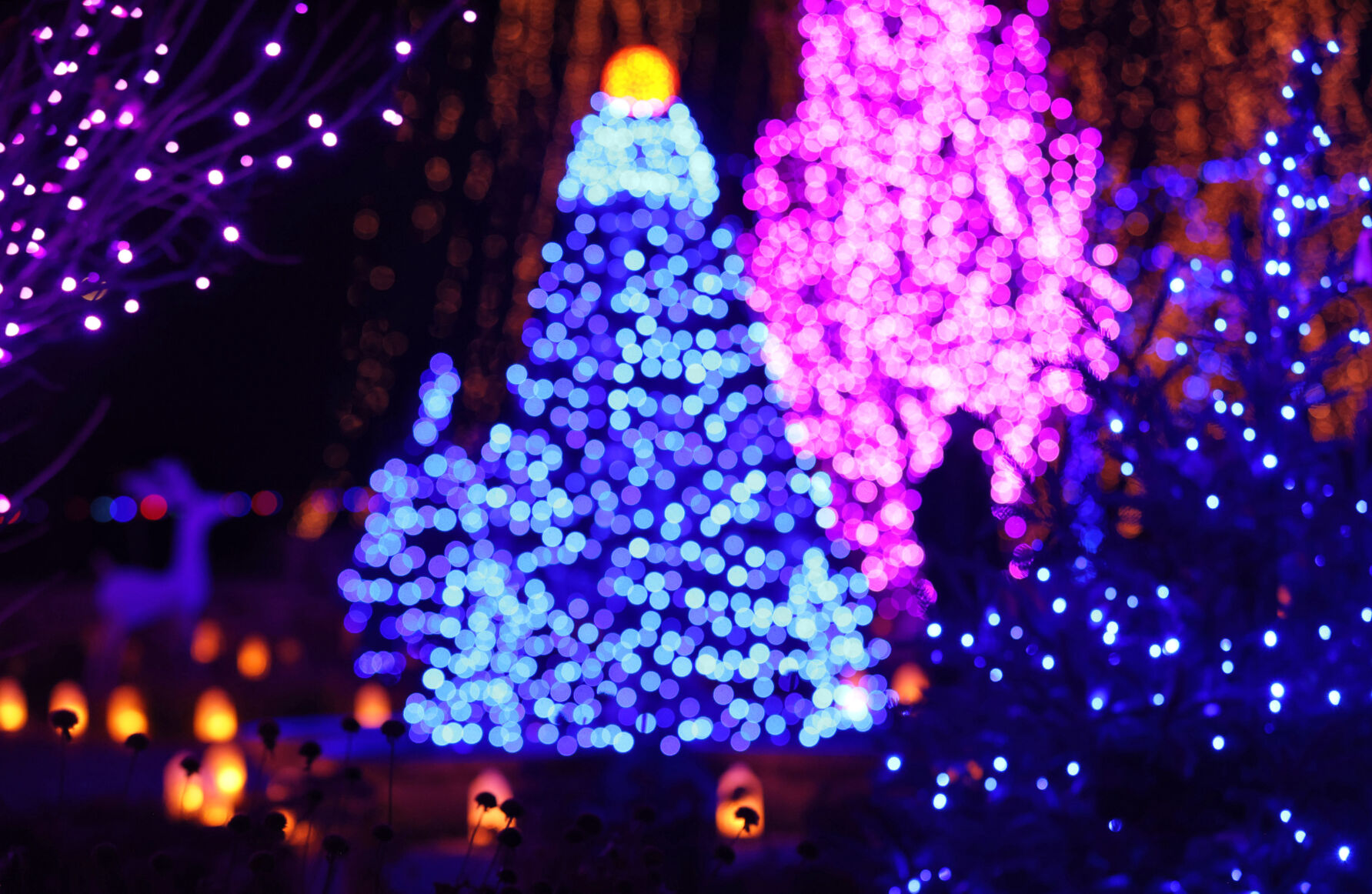 SOWI_231124_JVG_LIGHTS16.JPG